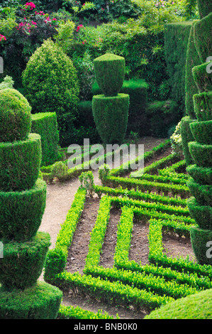 Dekorative grüne Park – Botanischer Garten Funchal, Madeira Stockfoto