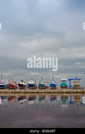 Shippagan Fischereiflotte im Trockendock im Sommer in New Brunswick, Kanada Stockfoto