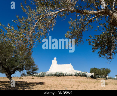 Die Fadhloun-Moschee, Djerba, Tunesien Stockfoto