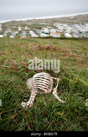 Hillend Caravan Park, Gower, Wales, UK Stockfoto