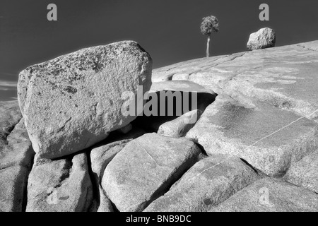 Granitfelsen und einsamer Baum. Yosemite Nationalpark, Kalifornien Stockfoto