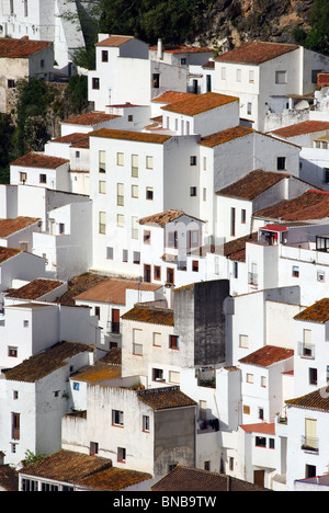 Blick auf die Stadt, Casares, Provinz Malaga, Andalusien, Spanien, Westeuropa. Stockfoto