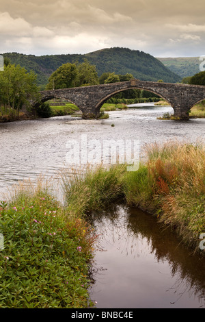 Großbritannien, Wales, Snowdonia, Llanwrst, 1636 Steinbrücke über den Fluss Conwy Stockfoto