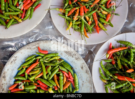 Platten aus bunten hot Chili Stockfoto