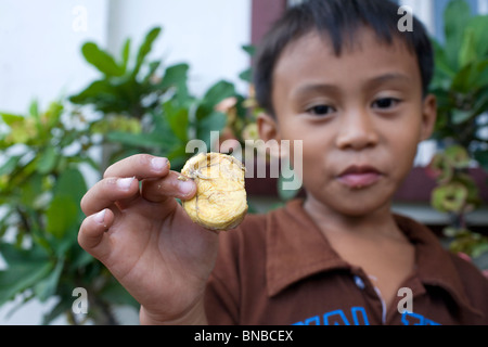 Ein Filipino junge zeigt das Eigelb ein Balut oder gekochtes befruchteten Ente Ei, und genießen Sie die Delikatesse in den Philippinen. Stockfoto