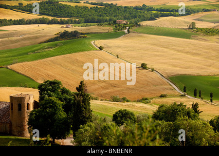 Frühling in der hügeligen Landschaft der Toskana in der Nähe von Pienza Italien Stockfoto