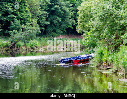 Boote auf dem Fluss Coquet, Warkworth, Northumberland Stockfoto