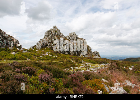 Des Teufels Stuhl Quarzit Aufschlüssen bei Stiperstones, Shropshire Hügel AONB Stockfoto