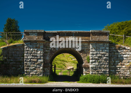 Alte Eisenbahnbrücke vor den Toren Goathland an einem Sommertag Stockfoto