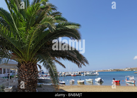 Fischerei-Hafen der Insel Paros, Cyclades, Piso Livadi, Ägäische Inseln, Griechenland Stockfoto