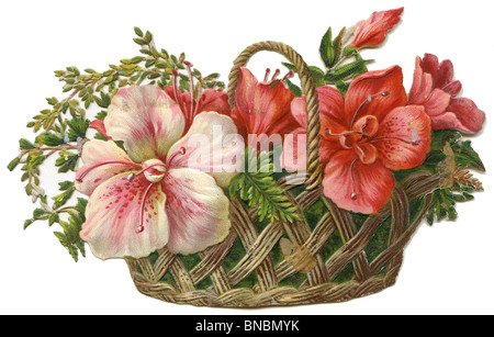 Hibiskus in einem Korb Stockfoto
