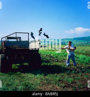 MANN LADEN TORF ZIEGEL IN LKW KERRY COUNTY KERRY IRLAND Stockfoto