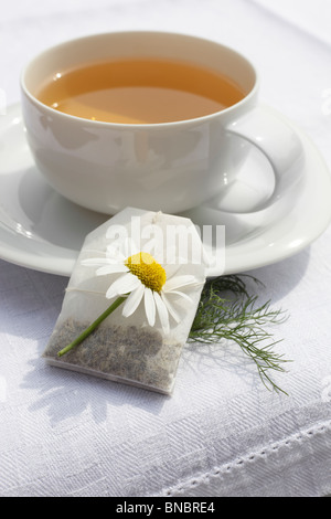 Teetasse Mit Aufgussbeutel Kamillentee, Matricaria chamomilla Stockfoto