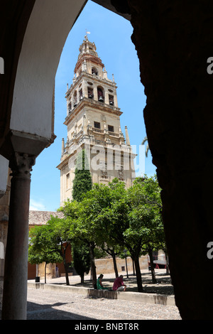 Glockenturm der Kathedrale oder die Mezquita von Córdoba in Andalusien-Spanien-Europa Stockfoto