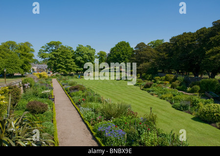 Ummauerten Gärten Dirleton Castle East Lothian Schottland Stockfoto