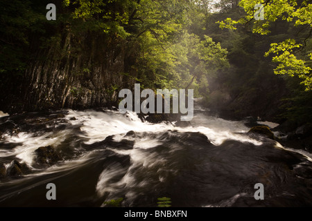 Großbritannien, Wales, Conway, Betws-y-Coed, Swallow Falls auf Afon Llygwy Stockfoto