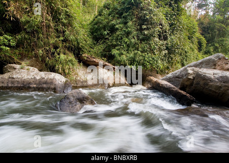 Fluss-Strom fließt durch montane Rainforest, Doi Inthanon Nationalpark, Provinz Chiang Mai, Thailand Stockfoto