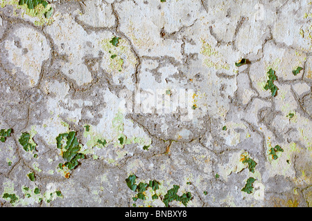 Die Risse und Flecken von grüner Farbe auf der Oberfläche des alten Putz - Hintergrund Stockfoto