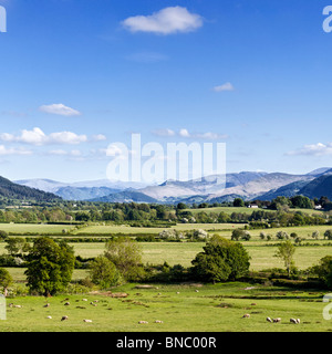 Berge im Lake District - Fjälls Blick auf den zentralen Lakeland über Bassenthwaite Common, The Lake District, England, UK Stockfoto