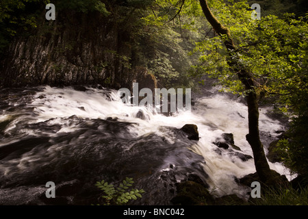 Großbritannien, Wales, Conway, Betws-y-Coed, Swallow Falls auf Afon Llygwy Stockfoto