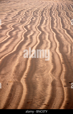 Sand Muster am Strand in Nord-Devon Stockfoto