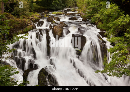 Großbritannien, Wales, Conway, Betws-y-Coed, Swallow Falls auf Afon Llygwy Stockfoto