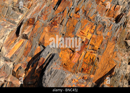 Nahaufnahme von Bands der gelbe braun Felsformation am Strand von Devon Stockfoto