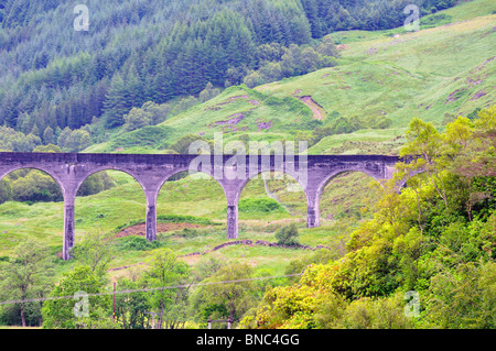 An einem nebligen Highlands Morgen sticht das Glenfinnan-Viadukt grüne Umgebung Stockfoto