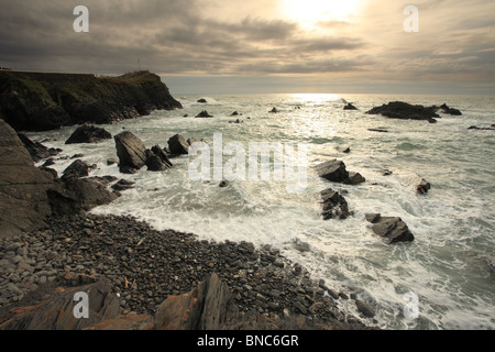 Hartland Quay, Sommer Abend, North Devon, England, UK Stockfoto