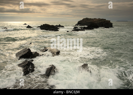 Hartland Quay, Sommer Abend, North Devon, England, UK Stockfoto