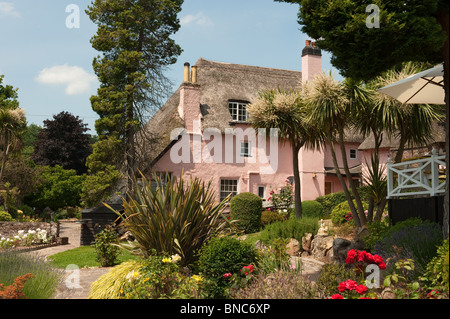 Rose Cottage Teegärten, Cockington Village, Torbay Stockfoto