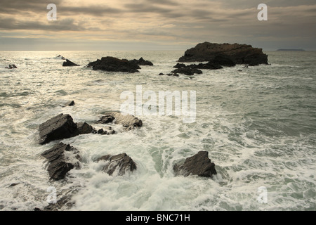 Hartland Quay, Sommer Abend, North Devon, England, UK Stockfoto