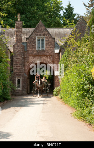 Pferdekutsche Warenkorb kommen durch einen Bogen im Cockington Village Country Park, Devon Stockfoto