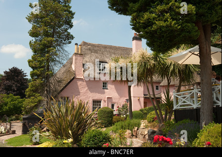 Rose Cottage Teegärten, Cockington Village, Torbay Stockfoto