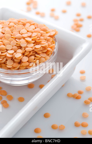 Masoor Dal (rote Linsen / gelbe Linsen) Stockfoto