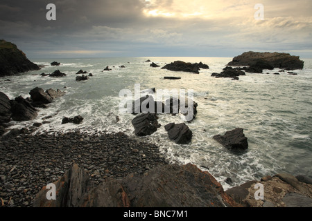 Hartland Quay, Sommer Abend, North Devon, England, UK Stockfoto