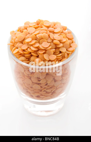 Masoor Dal (rote Linsen / gelbe Linsen) Stockfoto