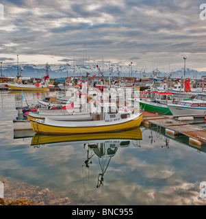 Husavik, Hafen, Island Stockfoto