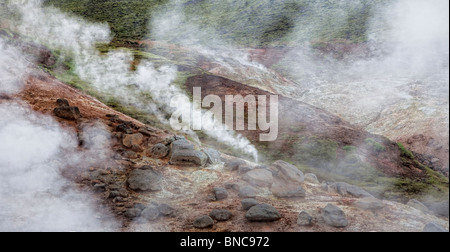Geothermische Thermalquellen dämpfen, South Coast, Island Stockfoto