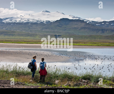 Mädchen genießen die Vogelwelt. Snaefellsjökull-Gletscher im Hintergrund, Snaefellsnes Halbinsel, Island Stockfoto