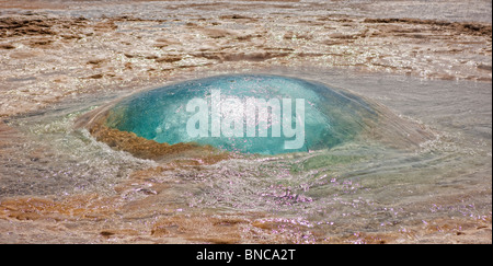 Strokkur Geysir auf Island Stockfoto