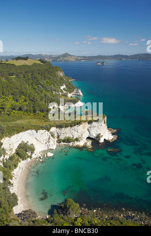 Kochen Sie Bluff, in der Nähe von Cathedral Cove, Coromandel Peninsula, North Island, Neuseeland - Antenne Stockfoto