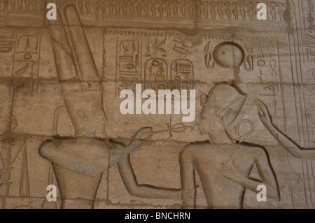 Relief, denen Gott Amun geben das Ankh, der Pharao Ramses II. Ramesseum. Ägypten. Stockfoto