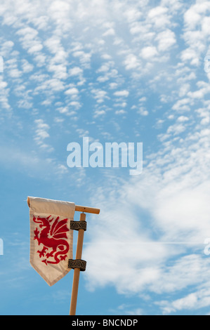 Red Dragon Flag am Tewkesbury Medieval Festival 2010. Stroud, Gloucestershire, England Stockfoto
