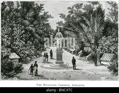 Eine Gravur der Botanische Garten, Adelaide, South Australia - in einem Buch veröffentlicht gedruckt im Jahre 1886. Stockfoto