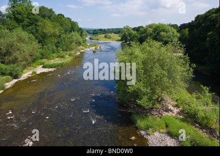 Fluss Wye Blick flussabwärts von der Brücke bei Hay-on-Wye Powys Wales UK Stockfoto