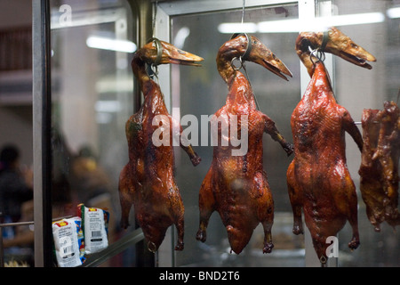 Gebratene Ente Aufhängen in einem Fenster, Bangkok, Thailand Stockfoto