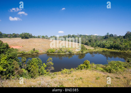 Blick auf ein Wasserloch im Nationalpark Khao Yai, Thailand Stockfoto