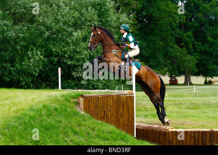 Pferd und Reiter springen cross Country Kurs am Glanusk Horse Trials in Wales Stockfoto