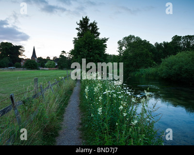 Öffentlichen Fußweg entlang dem Fluss Test in Whitchurch Hampshire UK Stockfoto